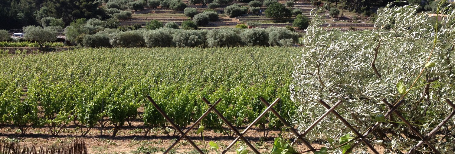 Appartement 3 Pièces 80 m² à louer à Ollioules (83190)