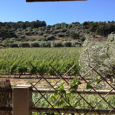 Appartement 3 pièces 980 €