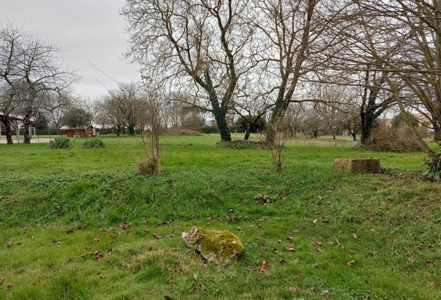 Terrain à bâtir de 0 pièces principales — photo 1