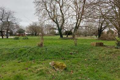 Terrain  56000 €