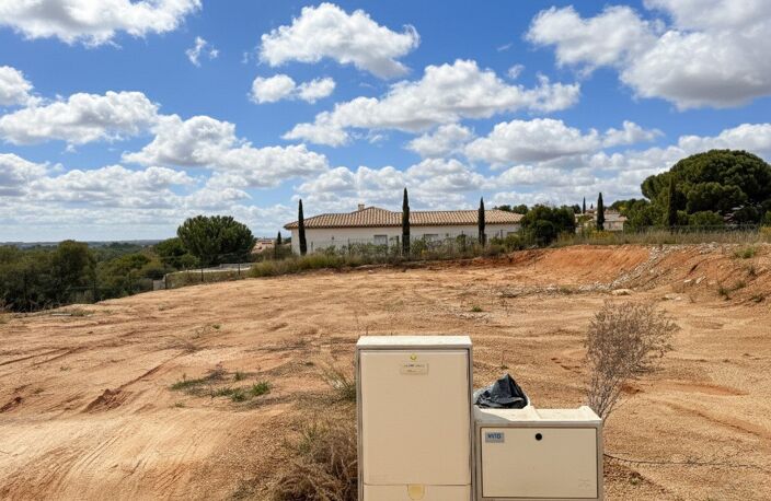 Terrain — photo 2