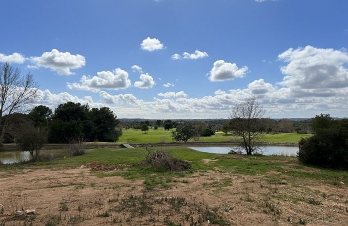 Terrain — photo 4