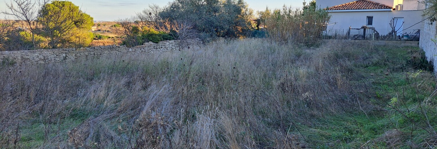 Terrain  1000 m² à vendre à Mèze (34140)