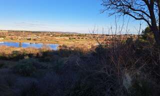 Terrain  1000 m² à vendre à Mèze (34140)