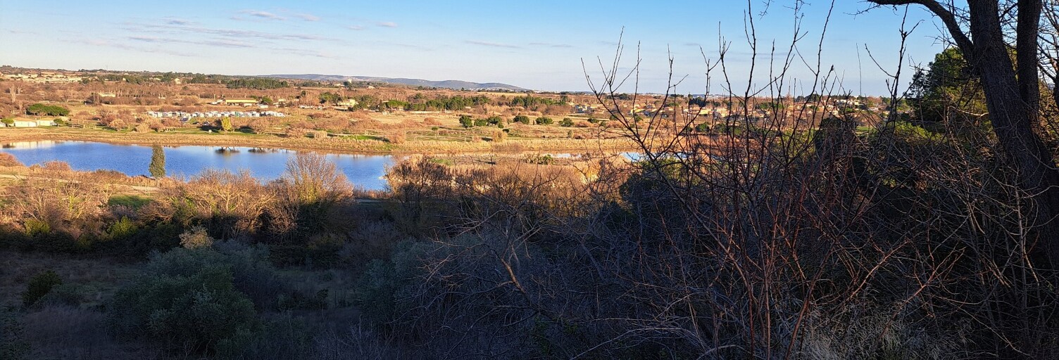 Terrain  1000 m² à vendre à Mèze (34140)