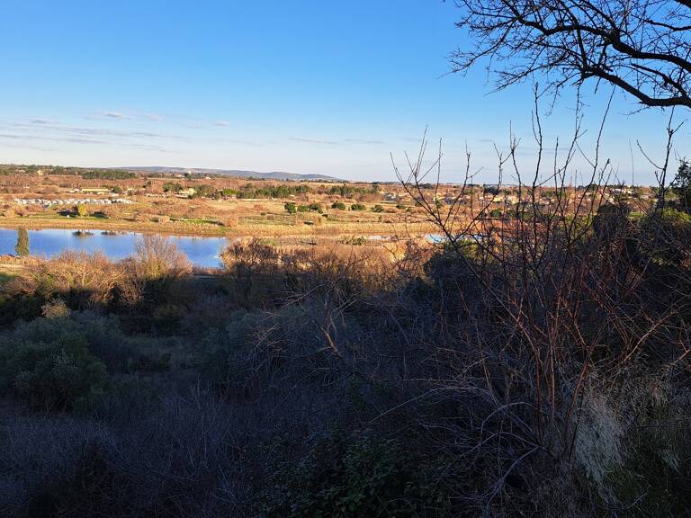 Terrain — photo 1