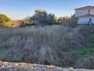 Terrain — photo 2