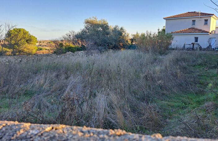 Terrain — photo 2