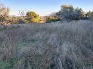 Terrain — photo 3