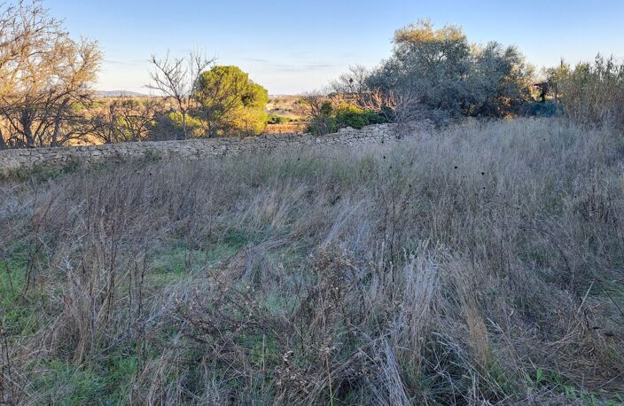Terrain — photo 3