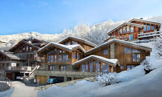 Maison 8 Pièces 359 m² à vendre à Les Belleville (73440)