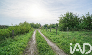 Terrain  2900 m² à vendre à Cornebarrieu (31700)