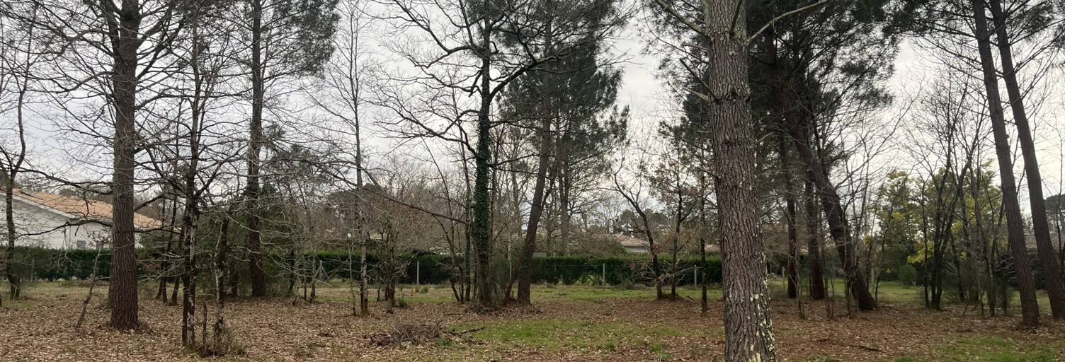 Terrain  800 m² à vendre à Gujan-Mestras (33470)