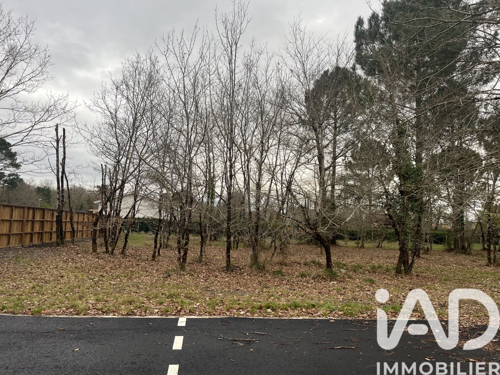 Gujan-Mestras - 800m²