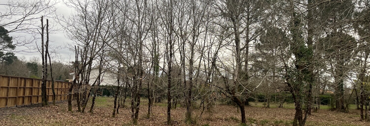 Terrain  800 m² à vendre à Gujan-Mestras (33470)