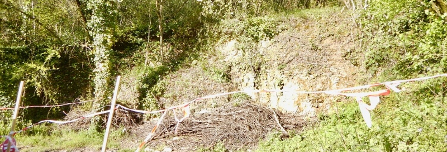 Terrain  539 m² à vendre à Périgueux (24000)