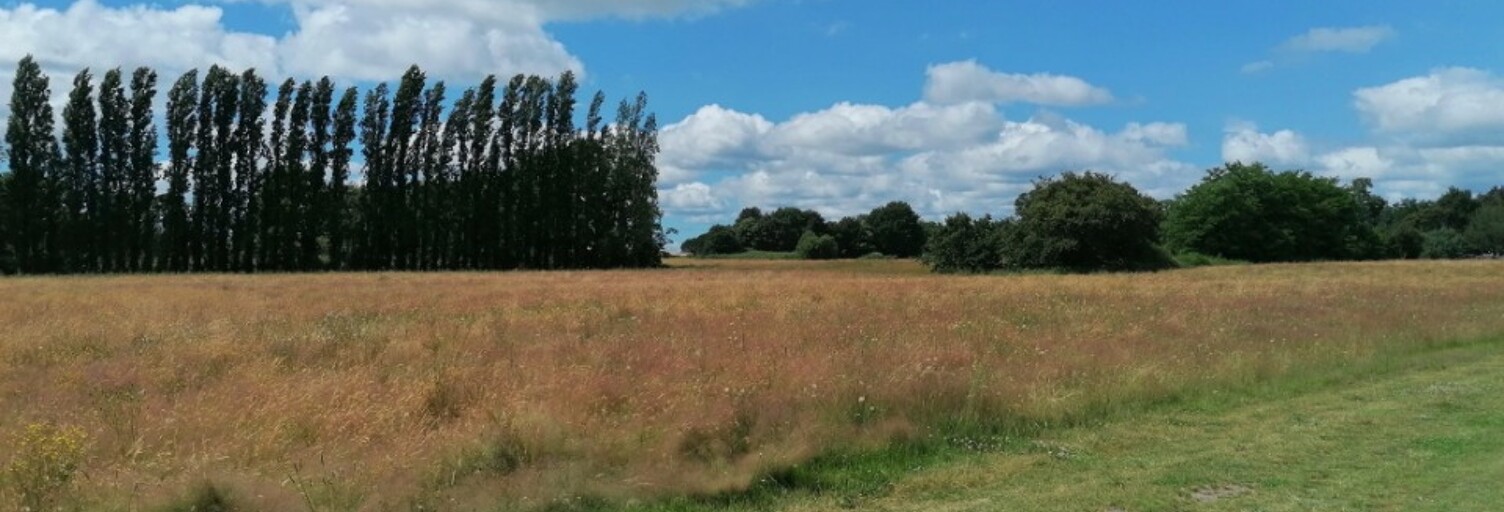 Terrain  544 m² à vendre à Hinx (40180)