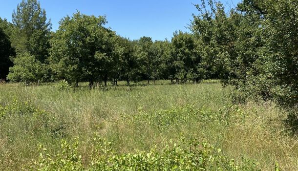 Villa / Maison 4 pièces  à vendre Saint-Maximin-la-Sainte-Baume 83470