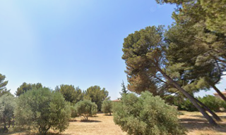 Terrain 543 m² à construire Saint-Chamas (13250)