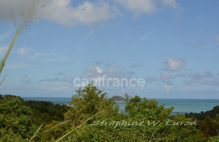 Dépt 972 Terrain à bâtir - 1984,00 m² LA TRINITE - 270 000 € — photo 2