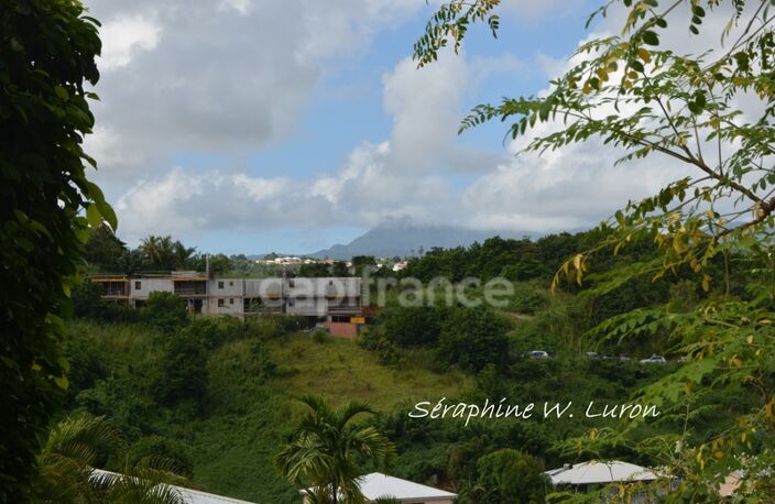 Dépt 972 Terrain à bâtir - 1984,00 m² LA TRINITE - 270 000 € — photo 3