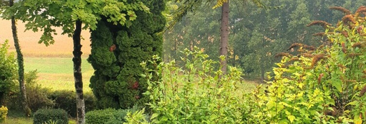 Maison 120 m² en viager Barbezieux-Saint-Hilaire (16300)