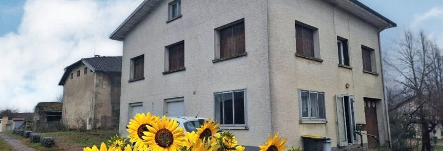 Maison 6 Pièces 142 m² à vendre à Vittel (88800)
