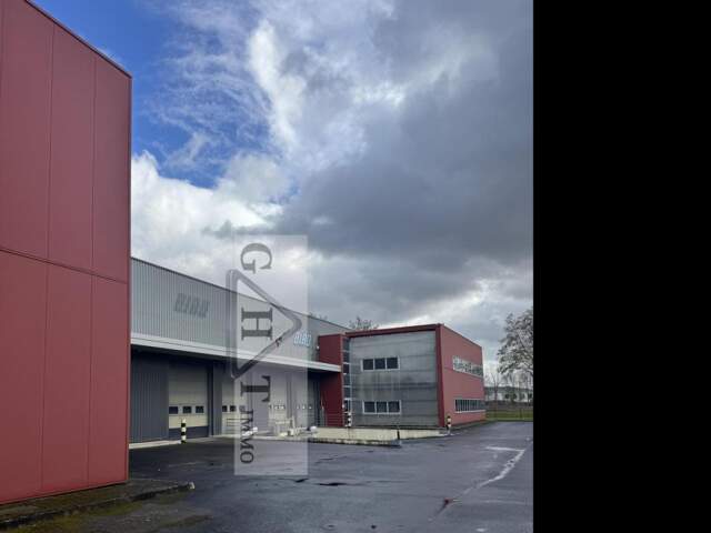À LOUER – SERRIS - LOCAL D'ACTIVITÉ – 1 961m² — photo du bien