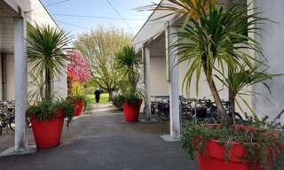 Appartement 3 Pièces 74 m² à louer à Bègles (33130)