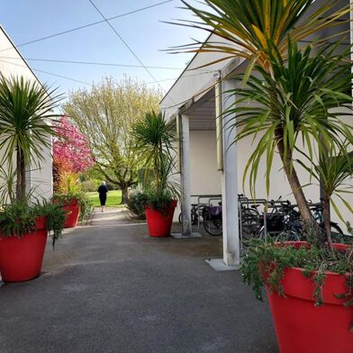 Appartement 3 pièces 1020 €