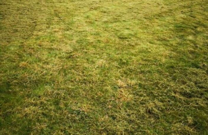 Terrain à bâtir La Ferté en Ouche 1052 m2 plat & clos — photo 4