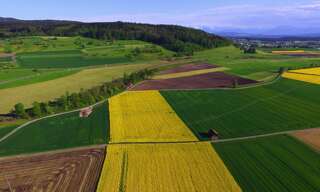 Terrain  172828 m² à vendre à Augan (56800)