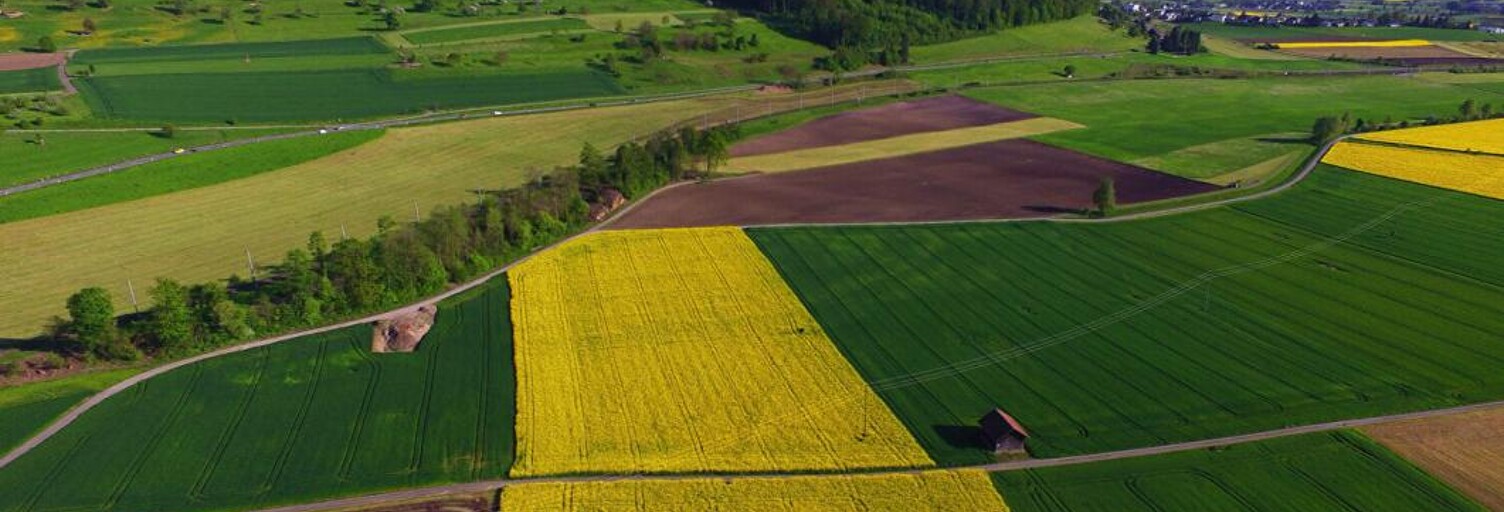 Terrain  172828 m² à vendre à Augan (56800)