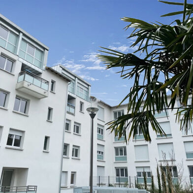 Appartement 3 pièces 808 €