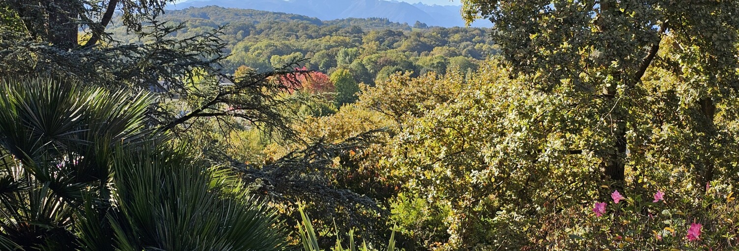 Maison 11 Pièces 288 m² à vendre à Lée (64320)