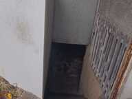 Maison — photo 3