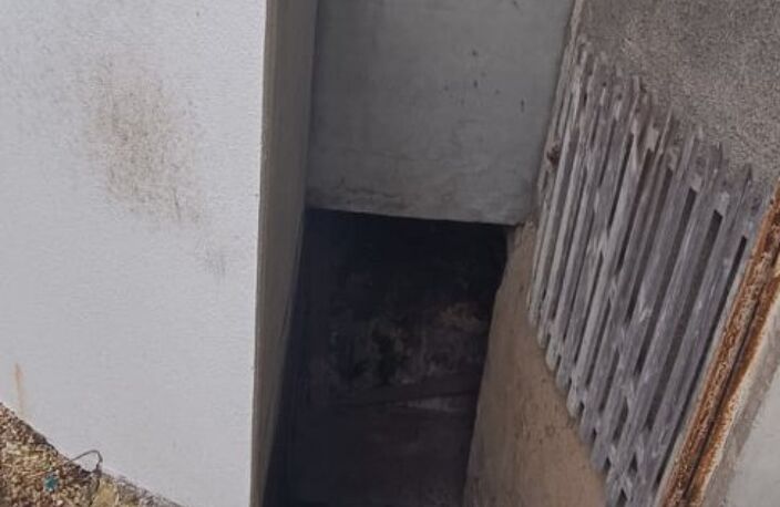 Maison — photo 3