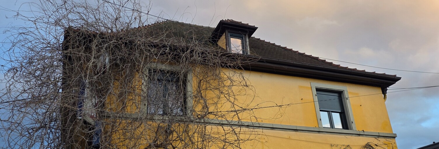 Appartement 4 Pièces 149 m² à vendre à Eschau (67114)