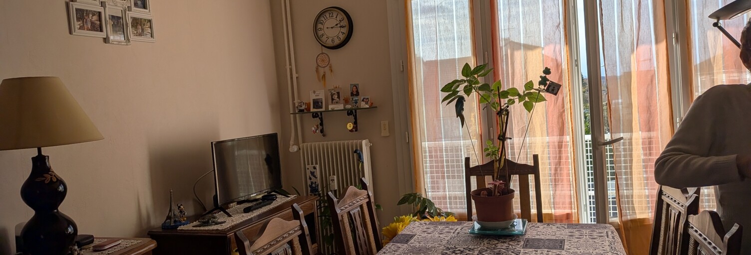 Appartement 3 Pièces 47 m² à vendre à Limoges (87100)