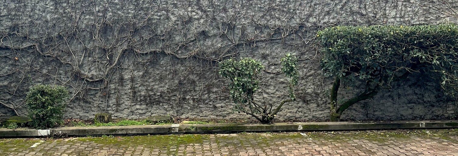 Garage  12 m² à vendre à Bordeaux (33000)