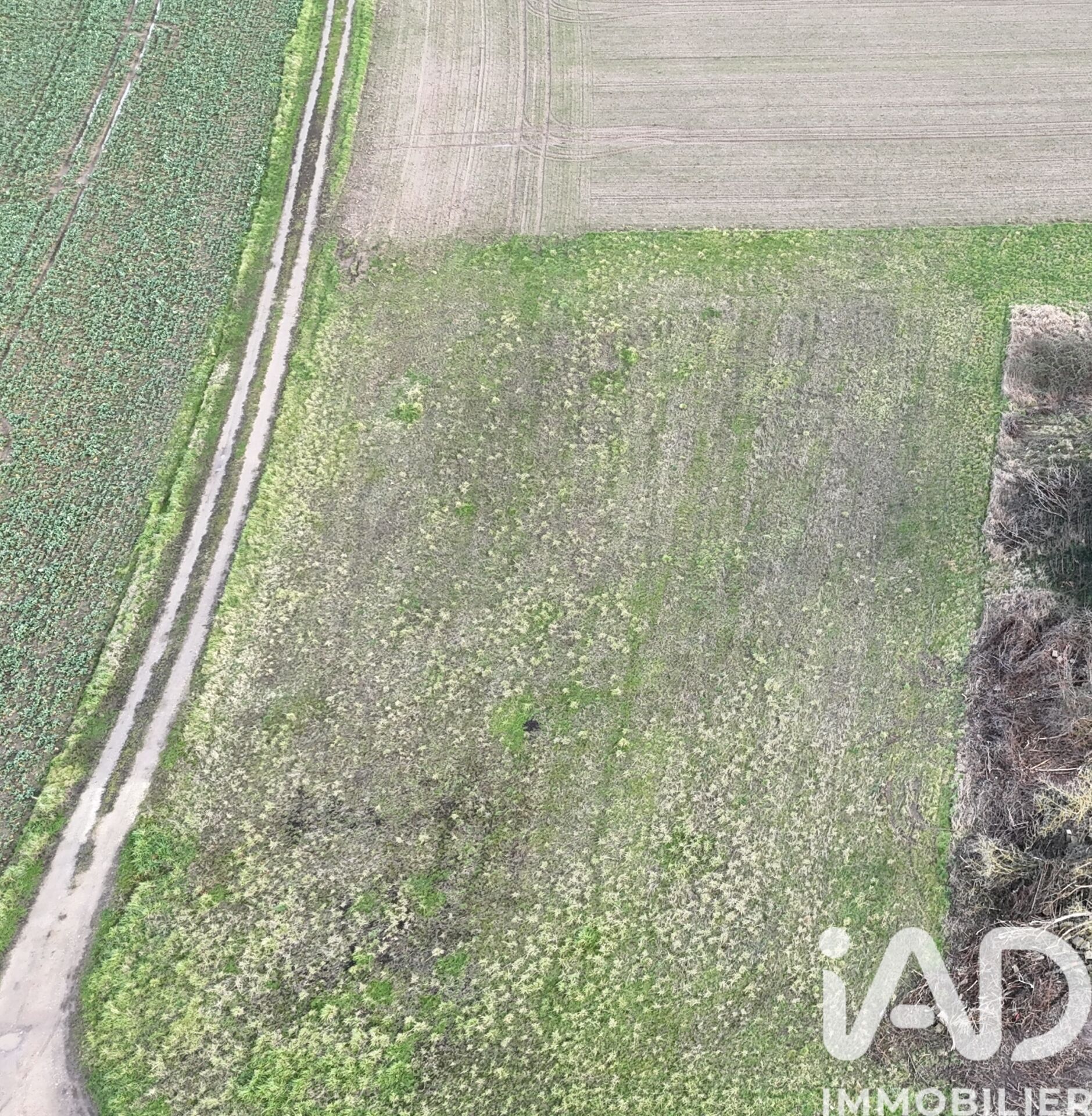 St-Benoit-Sur-Loire - 901m²