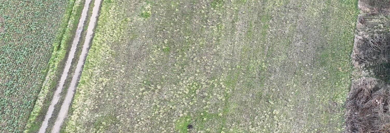 Terrain  901 m² à vendre à Saint-Benoît-sur-Loire (45730)