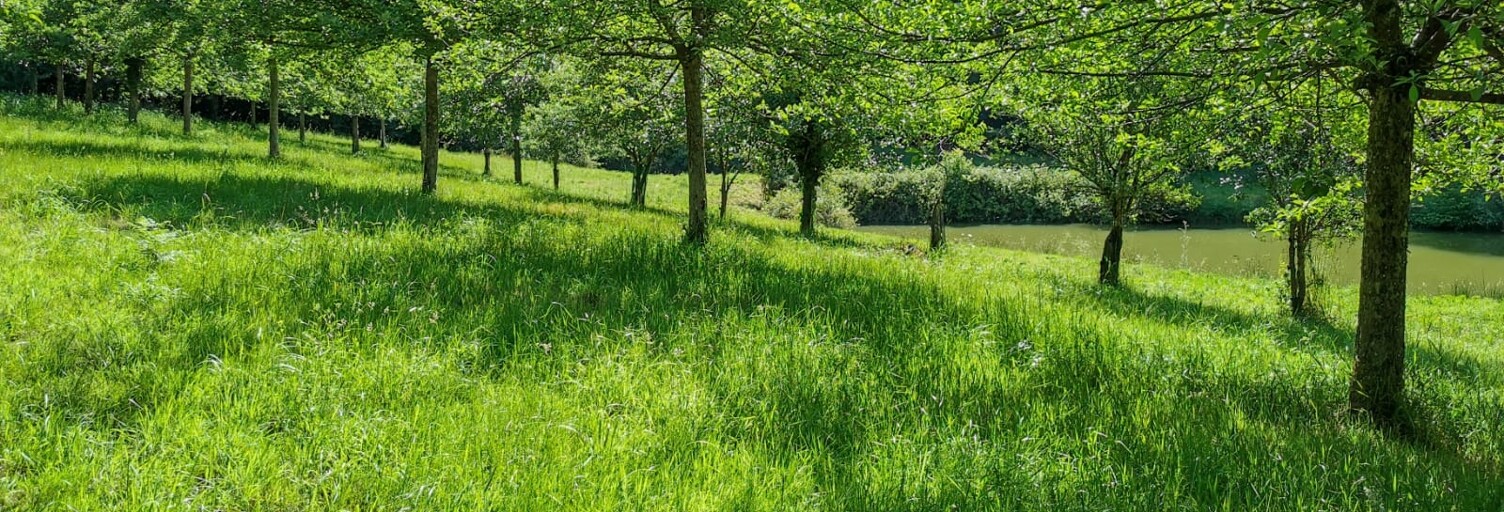 Terrain  15000 m² à vendre à Poullaouen (29246)