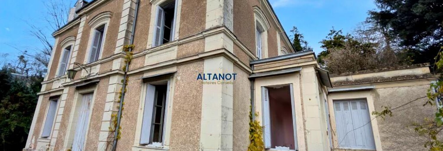 Maison 12 Pièces 300 m² à vendre à Pocé-sur-Cisse (37530)