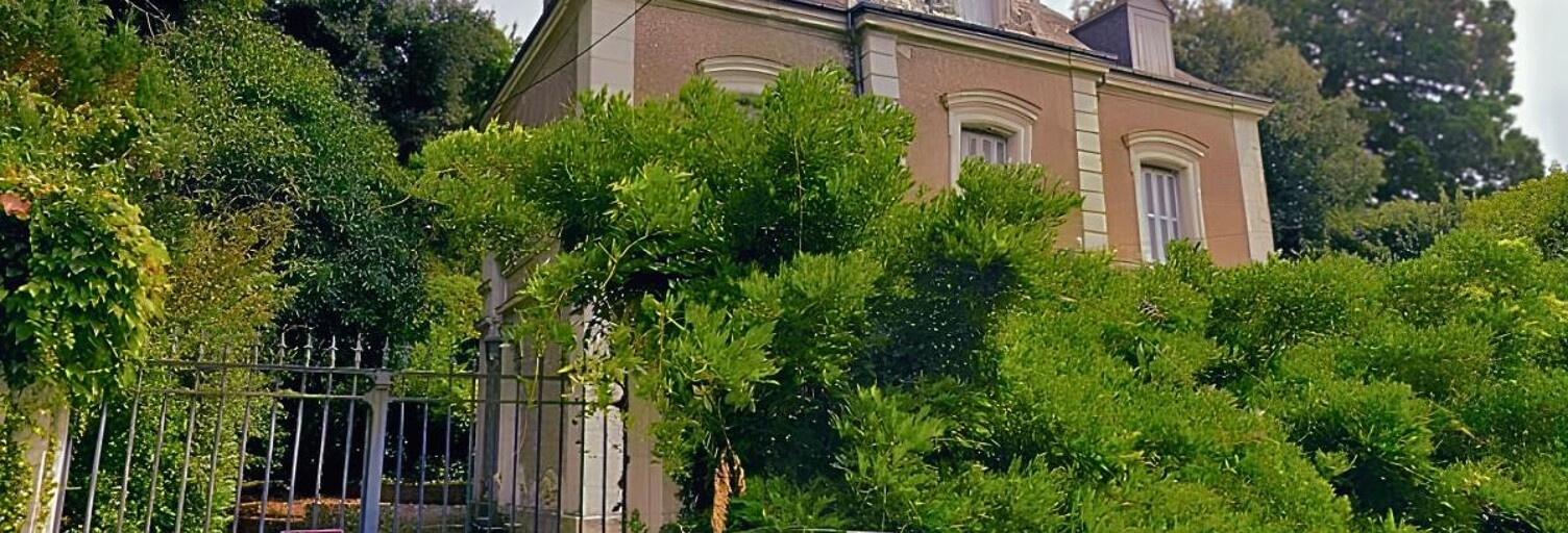 Maison 12 Pièces 300 m² à vendre à Pocé-sur-Cisse (37530)
