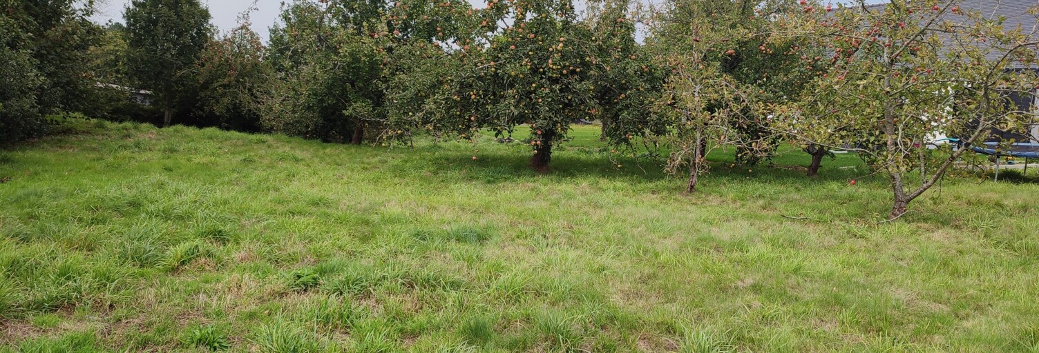 Terrain  865 m² à vendre à Plougonven (29640)