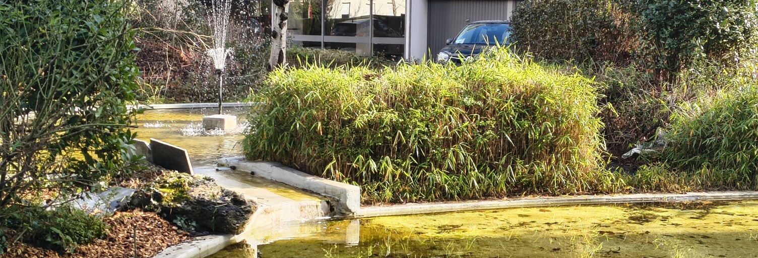 Appartement 3 Pièces 65 m² à vendre à Antony (92160)