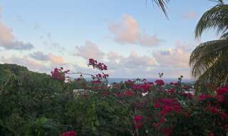 Maison 7 Pièces 368 m² à vendre à Le Gosier (97190)