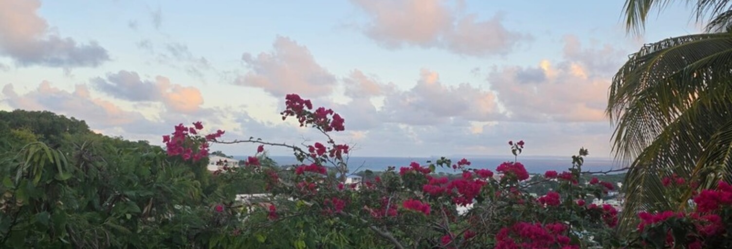 Maison 7 Pièces 368 m² à vendre à Le Gosier (97190)