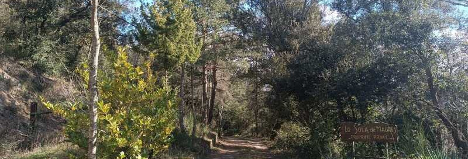 Maison 4 Pièces 105 m² à vendre à Montferrer (66150)